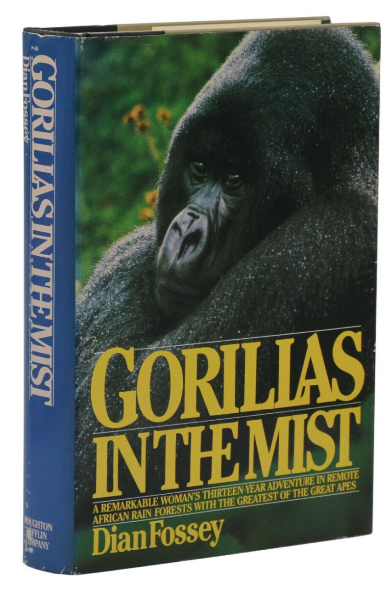 Gorillas in the Mist